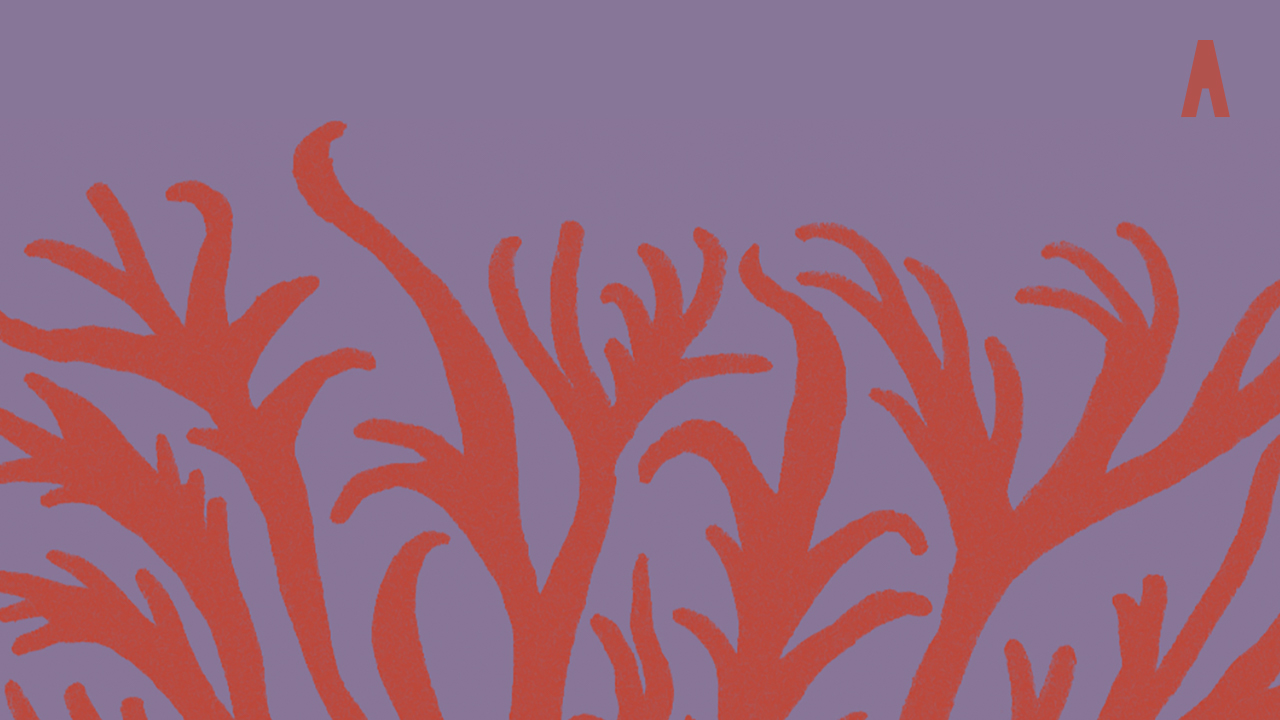 Fruto. El cuidado como complicidad