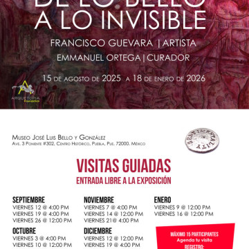 Exposición De lo Bello lo Invisible
