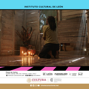 Vicenta B - 73 Muestra Internacional de Cine