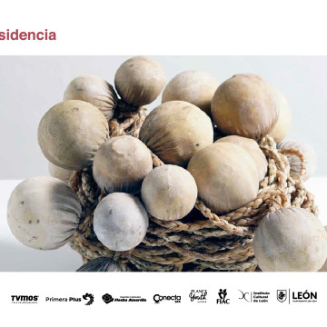 25 FIACmx: Choiols. La huella del ñandú en el cielo