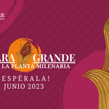 La Cuchara Grande - 8° Edición, Maíz: La Planta Milenaria