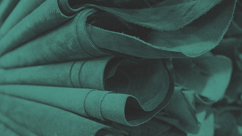 /thumbs/480&times;270&times;crop/entries/Nota-A186-En-Leon-El-Color-Se-Trabaja.jpg