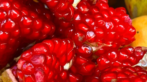 /thumbs/480&times;270&times;crop/entries/Nota-A186-Rojo-01.jpg