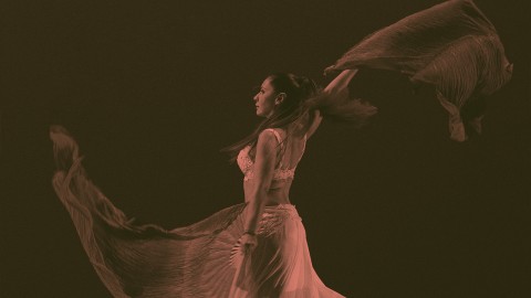/thumbs/480&times;320/entries/Ladanzarepresenta.jpg